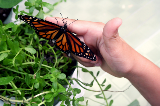 4 Surprising Lessons ‘Eco Moms’ Are Teaching Their Children