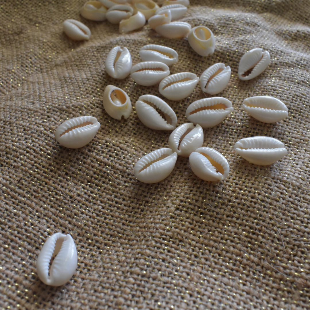 Cowrie Shell Beads