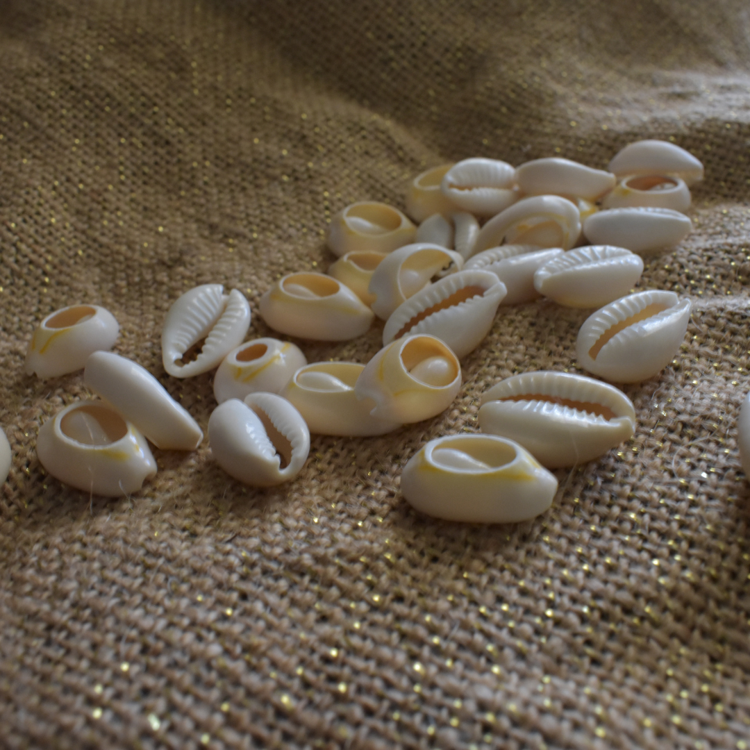 Cowrie Shell Beads