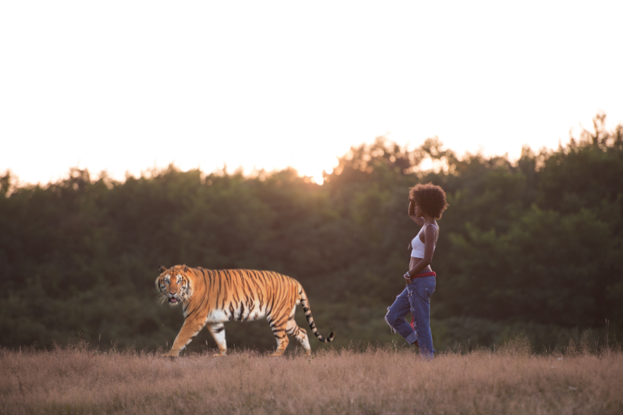 Sustainable Beauty: How Your Natural Hair Care Routine Supports Wildlife Conservation