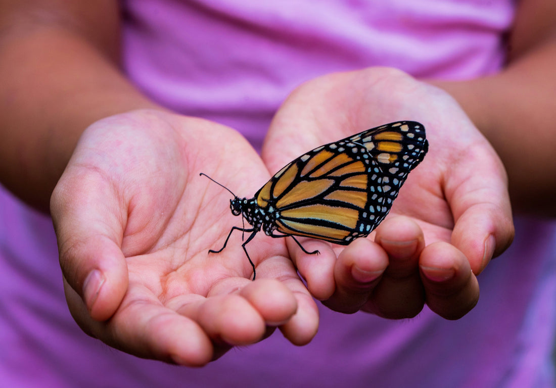 Citizen Science for Kids: How to Get Your Family Involved in Earth Day 2025