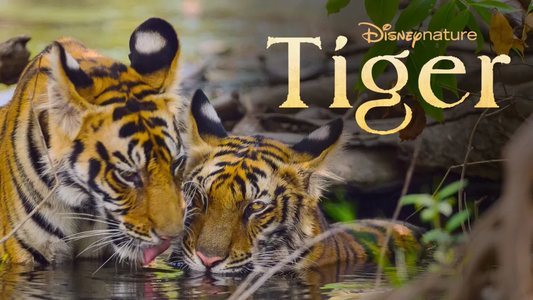Disney Nature’s “Tiger” Movie Review