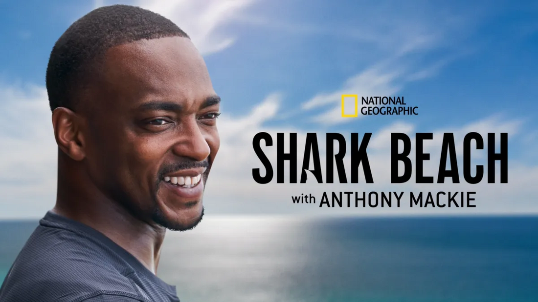 Review of National Geographic's "Shark Beach with Anthony Mackie: Gulf Coast"