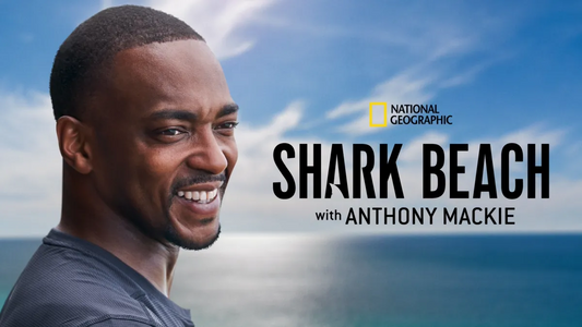 Review of National Geographic's "Shark Beach with Anthony Mackie: Gulf Coast"