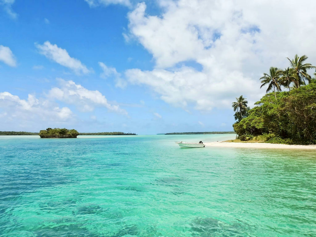 Bob Marley Beach: A Battle for Freedom and Land Rights in Jamaica