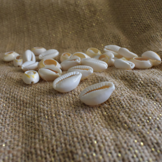 Cowrie Shell Beads