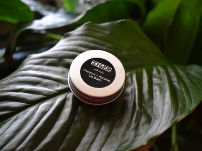 Coconut + Sweet Almond Lip Balm